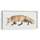 Zorro Trote I - Grace Popp | Cuadro decorativo de Canvas Lab