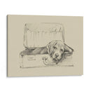 Stowaway Ii - Ethan Harper | Cuadro decorativo de Canvas Lab