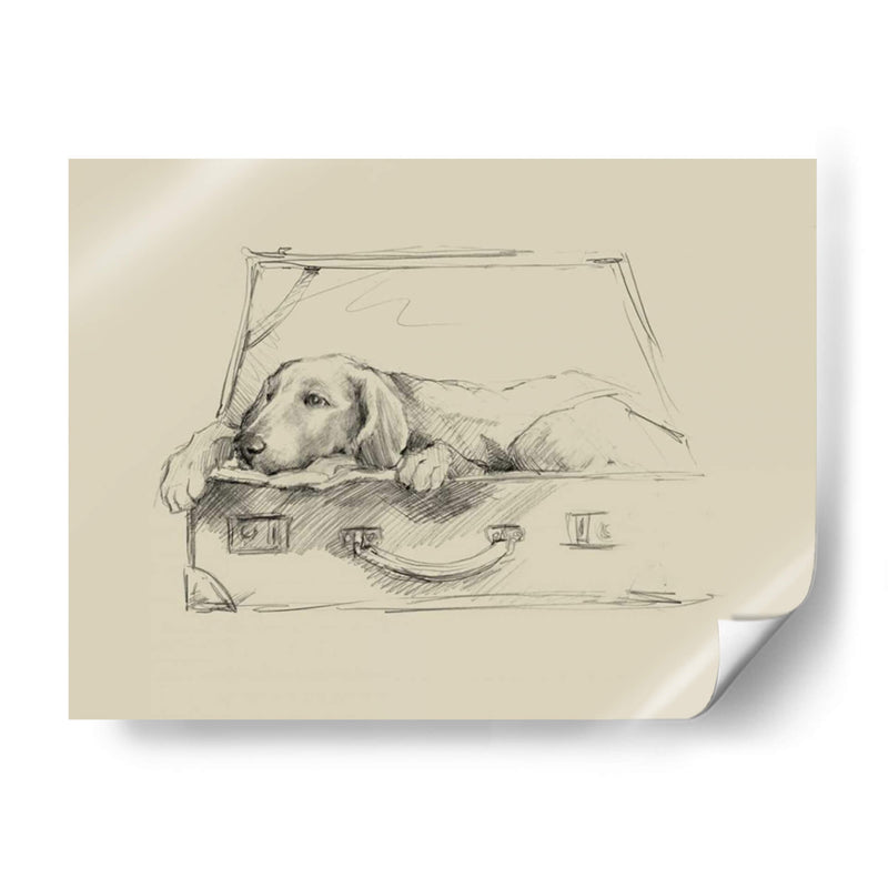 Stowaway Iii - Ethan Harper | Cuadro decorativo de Canvas Lab