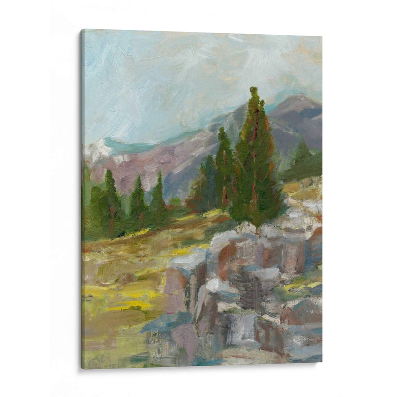 Rocky Hillside Ii - Ethan Harper | Cuadro decorativo de Canvas Lab