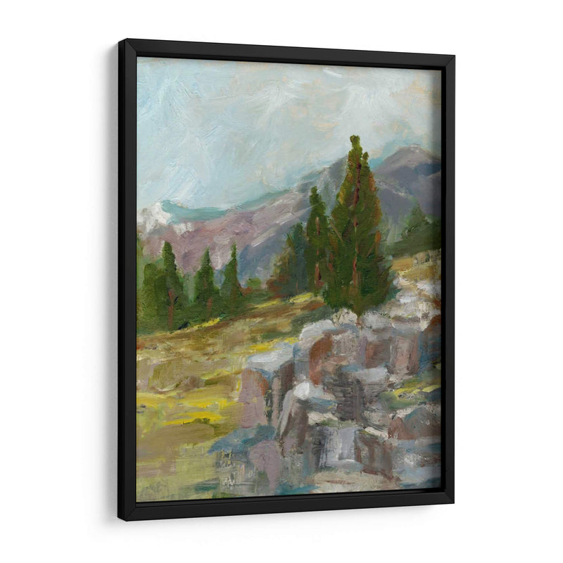 Rocky Hillside Ii - Ethan Harper | Cuadro decorativo de Canvas Lab