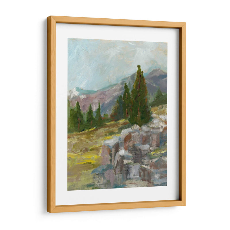 Rocky Hillside Ii - Ethan Harper | Cuadro decorativo de Canvas Lab