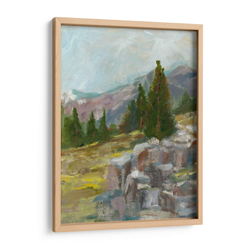 Rocky Hillside Ii - Ethan Harper | Cuadro decorativo de Canvas Lab