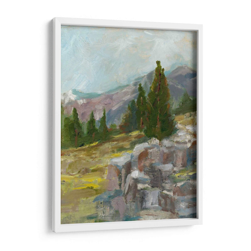 Rocky Hillside Ii - Ethan Harper | Cuadro decorativo de Canvas Lab