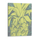 Kona Piña I - Jennifer Goldberger | Cuadro decorativo de Canvas Lab