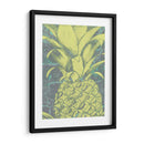 Kona Piña Ii - Jennifer Goldberger | Cuadro decorativo de Canvas Lab