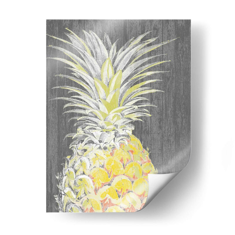 Esplendor Vibrante De Piña I - Studio W | Cuadro decorativo de Canvas Lab