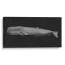 Ballena Invertida I - Grace Popp | Cuadro decorativo de Canvas Lab