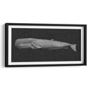Ballena Invertida I - Grace Popp | Cuadro decorativo de Canvas Lab