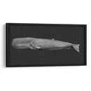 Ballena Invertida I - Grace Popp | Cuadro decorativo de Canvas Lab