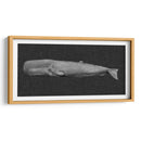 Ballena Invertida I - Grace Popp | Cuadro decorativo de Canvas Lab