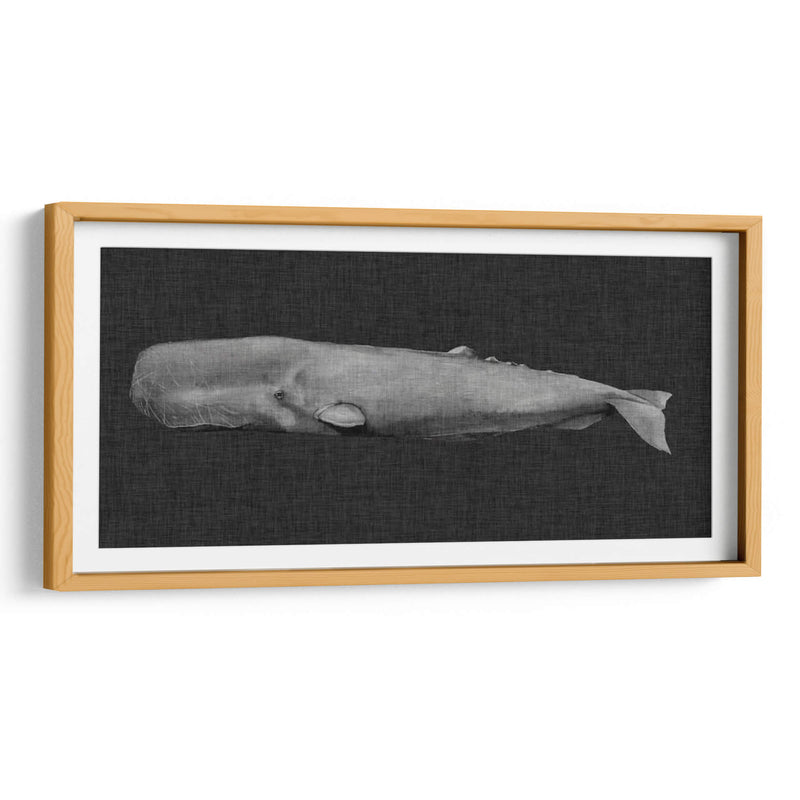 Ballena Invertida I - Grace Popp | Cuadro decorativo de Canvas Lab