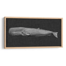 Ballena Invertida I - Grace Popp | Cuadro decorativo de Canvas Lab