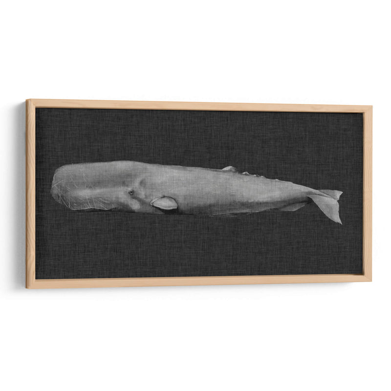 Ballena Invertida I - Grace Popp | Cuadro decorativo de Canvas Lab