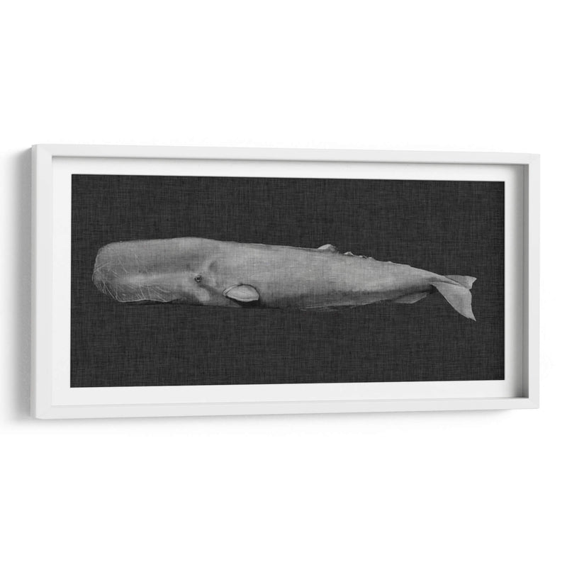 Ballena Invertida I - Grace Popp | Cuadro decorativo de Canvas Lab