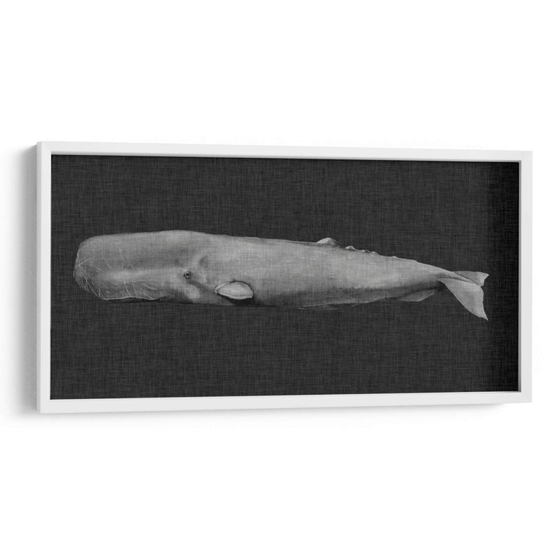 Ballena Invertida I - Grace Popp | Cuadro decorativo de Canvas Lab