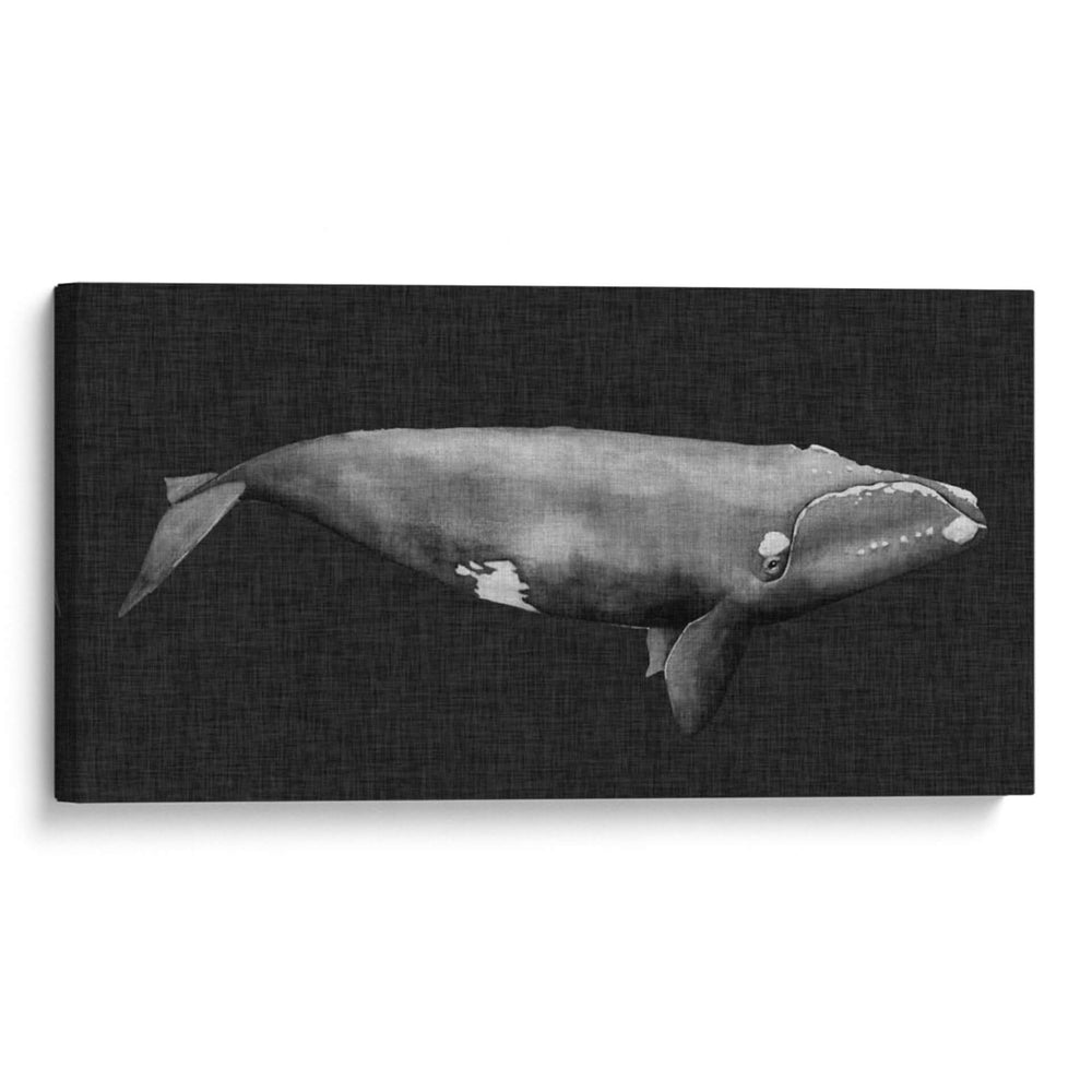 Ballena Invertida Ii - Grace Popp | Cuadro decorativo de Canvas Lab