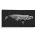 Ballena Invertida Ii - Grace Popp | Cuadro decorativo de Canvas Lab