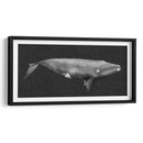 Ballena Invertida Ii - Grace Popp | Cuadro decorativo de Canvas Lab