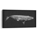 Ballena Invertida Ii - Grace Popp | Cuadro decorativo de Canvas Lab