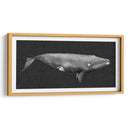 Ballena Invertida Ii - Grace Popp | Cuadro decorativo de Canvas Lab