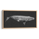 Ballena Invertida Ii - Grace Popp | Cuadro decorativo de Canvas Lab