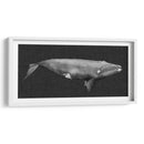Ballena Invertida Ii - Grace Popp | Cuadro decorativo de Canvas Lab