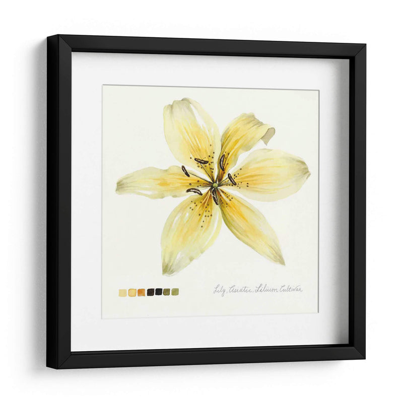 Lilium I - Grace Popp | Cuadro decorativo de Canvas Lab