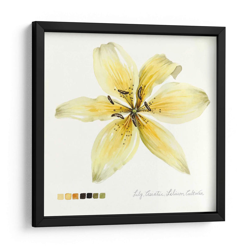 Lilium I - Grace Popp | Cuadro decorativo de Canvas Lab