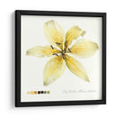 Lilium I - Grace Popp | Cuadro decorativo de Canvas Lab