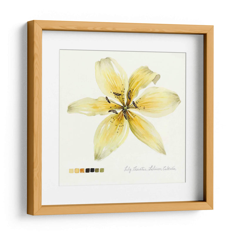 Lilium I - Grace Popp | Cuadro decorativo de Canvas Lab