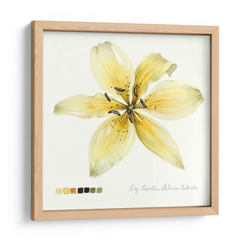 Lilium I - Grace Popp | Cuadro decorativo de Canvas Lab