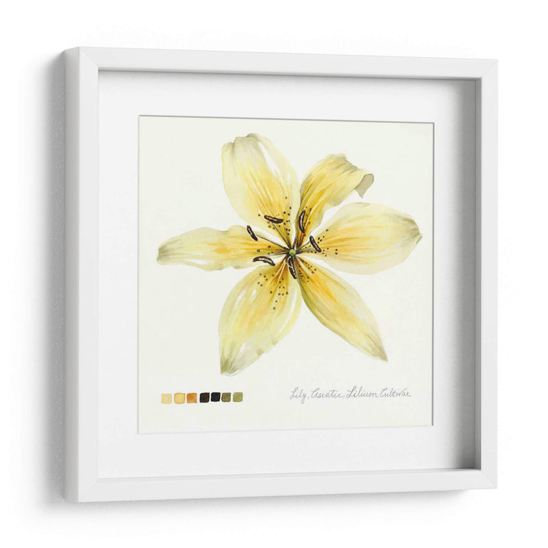 Lilium I - Grace Popp | Cuadro decorativo de Canvas Lab