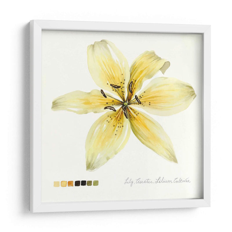 Lilium I - Grace Popp | Cuadro decorativo de Canvas Lab