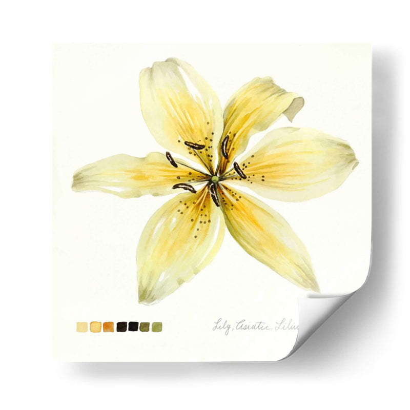 Lilium I - Grace Popp | Cuadro decorativo de Canvas Lab