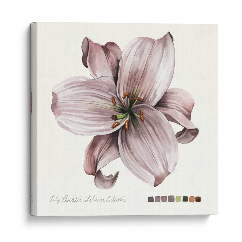 Lilium Ii - Grace Popp | Cuadro decorativo de Canvas Lab