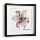 Lilium Ii - Grace Popp | Cuadro decorativo de Canvas Lab