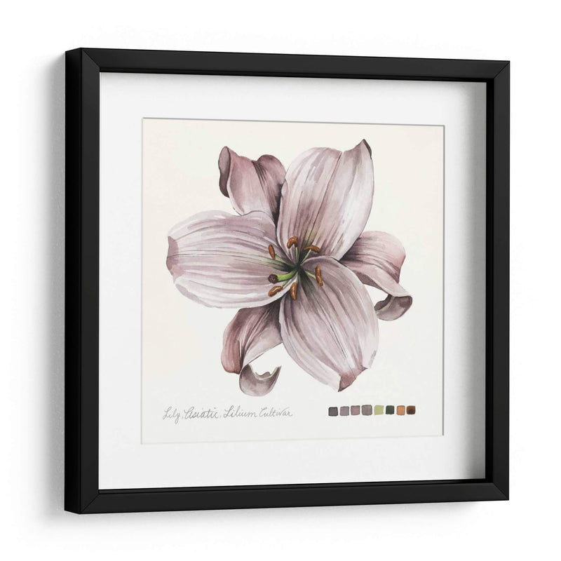 Lilium Ii - Grace Popp | Cuadro decorativo de Canvas Lab