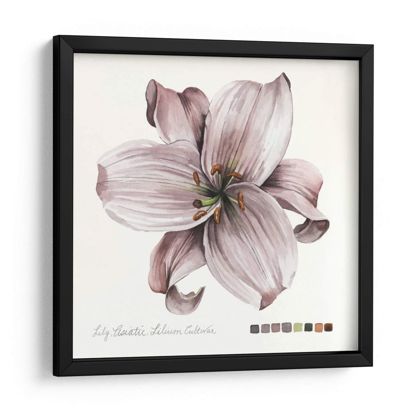 Lilium Ii - Grace Popp | Cuadro decorativo de Canvas Lab