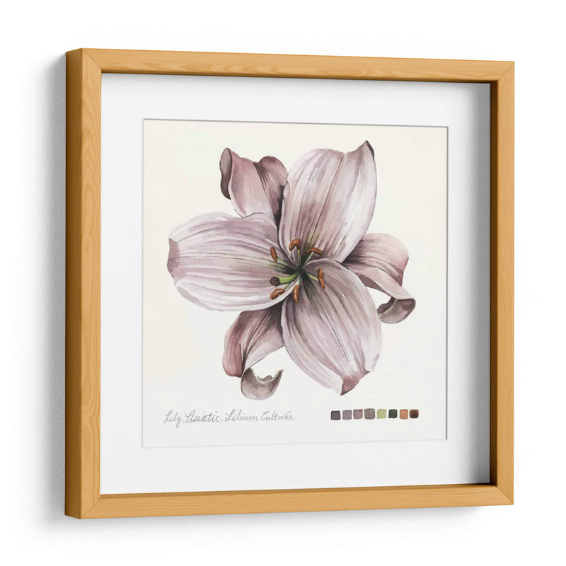 Lilium Ii - Grace Popp | Cuadro decorativo de Canvas Lab