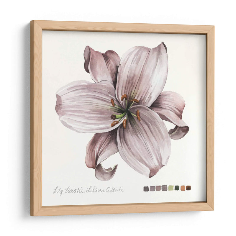 Lilium Ii - Grace Popp | Cuadro decorativo de Canvas Lab