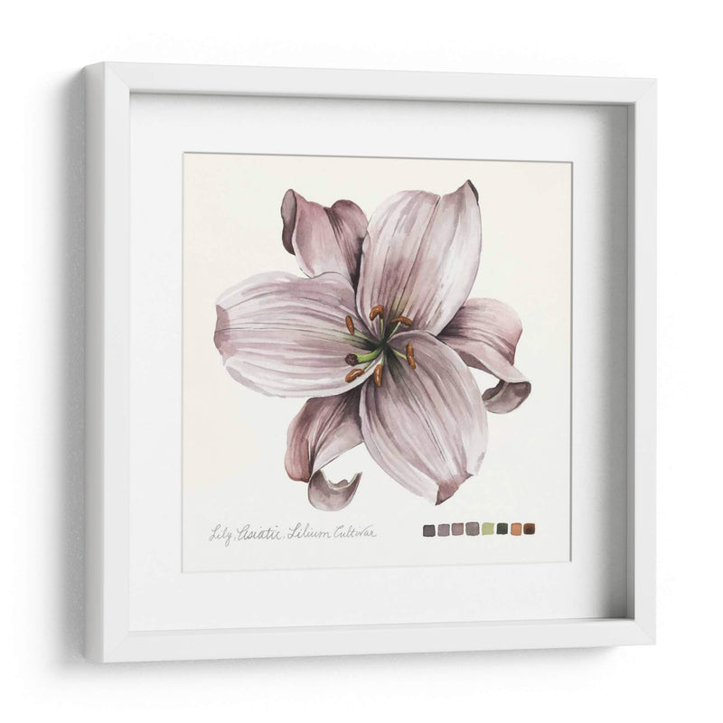 Lilium Ii - Grace Popp | Cuadro decorativo de Canvas Lab