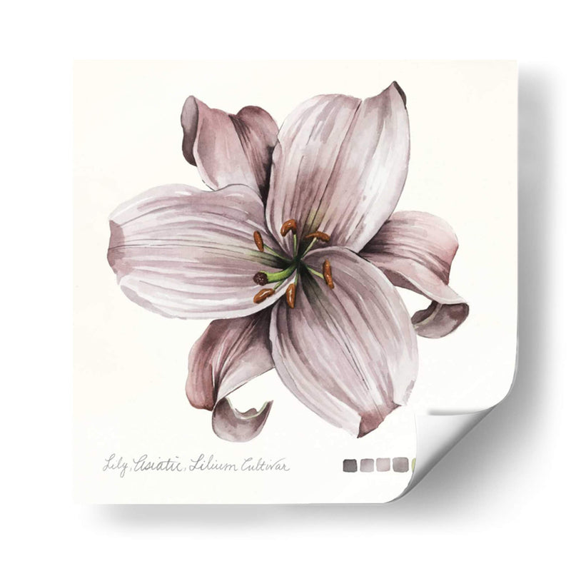 Lilium Ii - Grace Popp | Cuadro decorativo de Canvas Lab