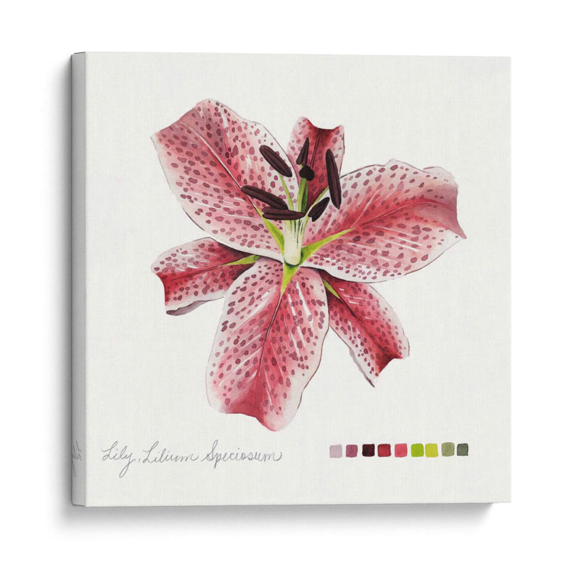 Lilium Iii - Grace Popp | Cuadro decorativo de Canvas Lab