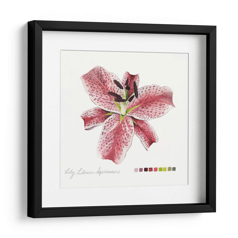 Lilium Iii - Grace Popp | Cuadro decorativo de Canvas Lab