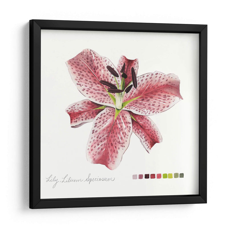 Lilium Iii - Grace Popp | Cuadro decorativo de Canvas Lab