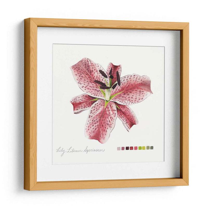 Lilium Iii - Grace Popp | Cuadro decorativo de Canvas Lab