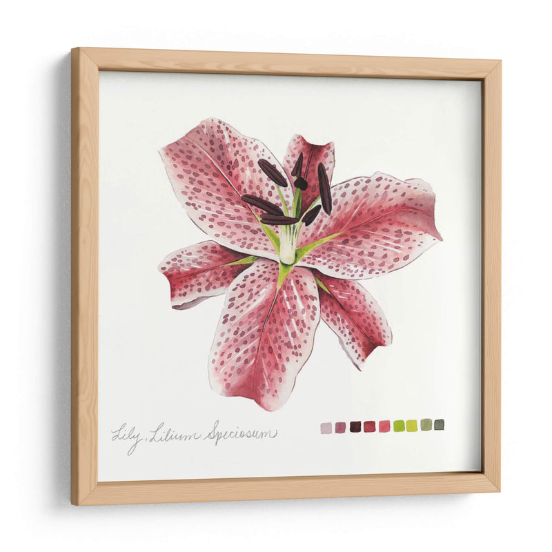 Lilium Iii - Grace Popp | Cuadro decorativo de Canvas Lab