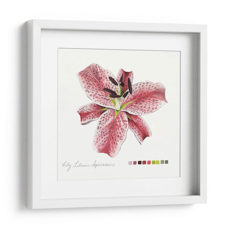 Lilium Iii - Grace Popp | Cuadro decorativo de Canvas Lab