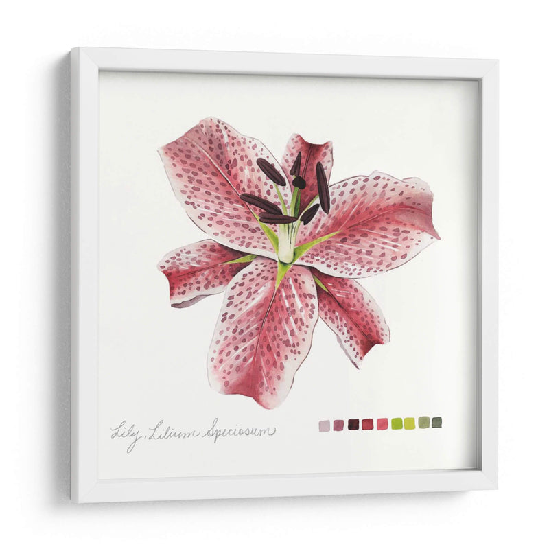 Lilium Iii - Grace Popp | Cuadro decorativo de Canvas Lab